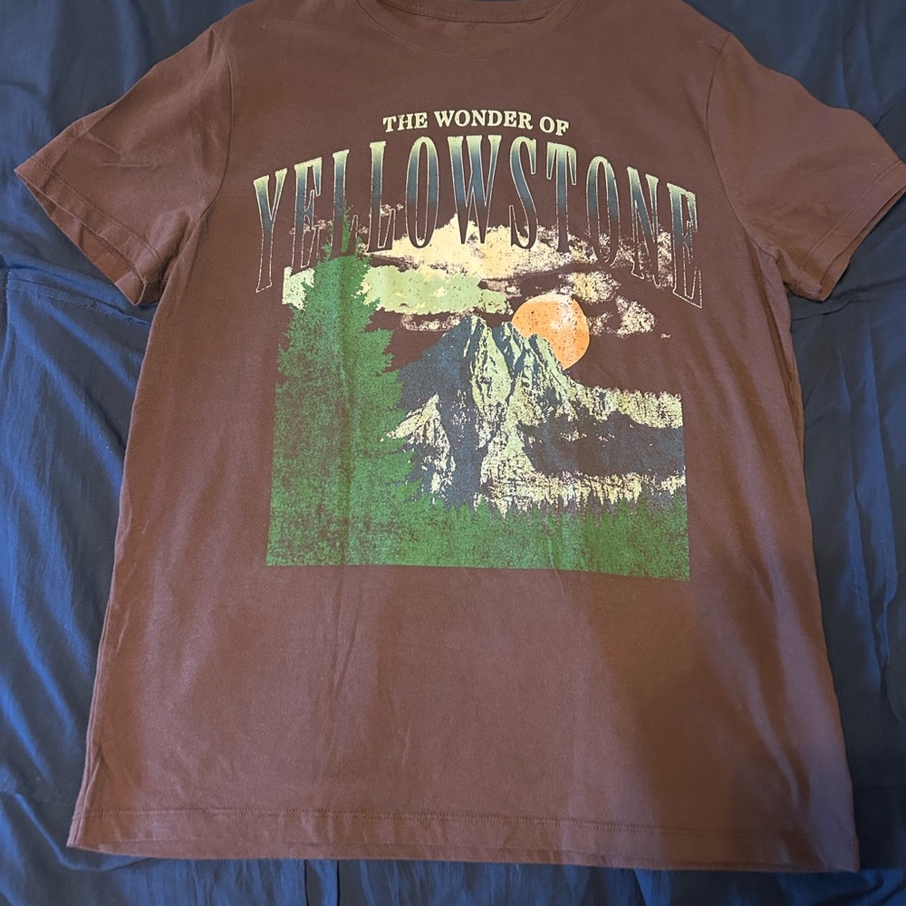 Goodfellow & Co Brown Graphic Tee